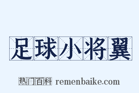 足球小将翼是什么意思的图片